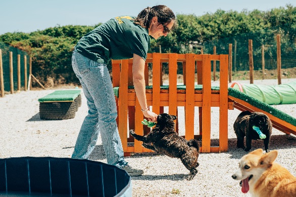 Hotel para cães